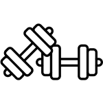 Gymnasium : A modern fitness center with advanced equipment for strength and cardio training.